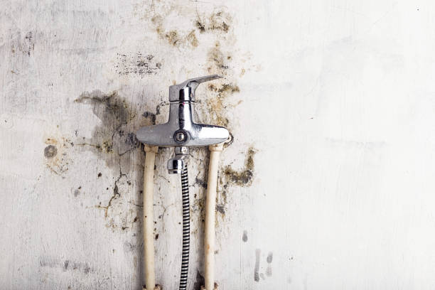 Water Damage Restoration in Nash, TX