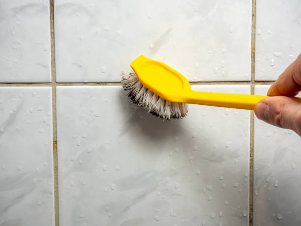 Reliable Nash, TX Mold Removal Solutions