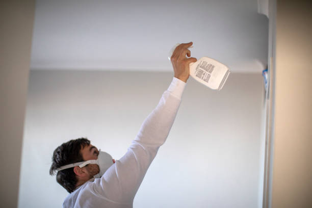 Best Office Mold Removal Services  in Nash, TX