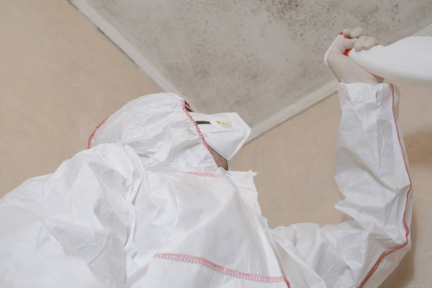 Office Mold Removal Services in Nash, TX